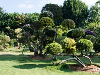 圖 深圳花卉租賃 園林綠化工程 景觀設(shè)計 別墅庭院景觀 綠化養(yǎng)護 深圳鮮花綠植