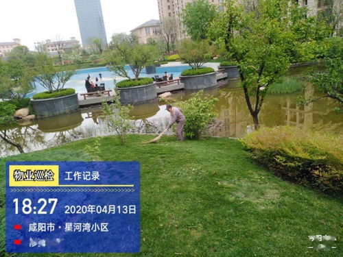 亮點 物業(yè)園林綠化整改提升小區(qū)環(huán)境品質(zhì)