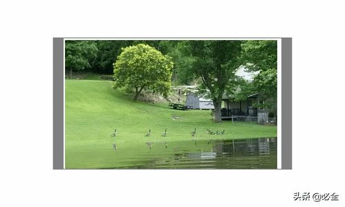 園林綠化工程中植物種植配置標(biāo)準(zhǔn) 收藏