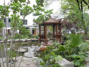 【南寧信譽(yù)好的南寧園林綠化施工廣西園林綠化施工】-