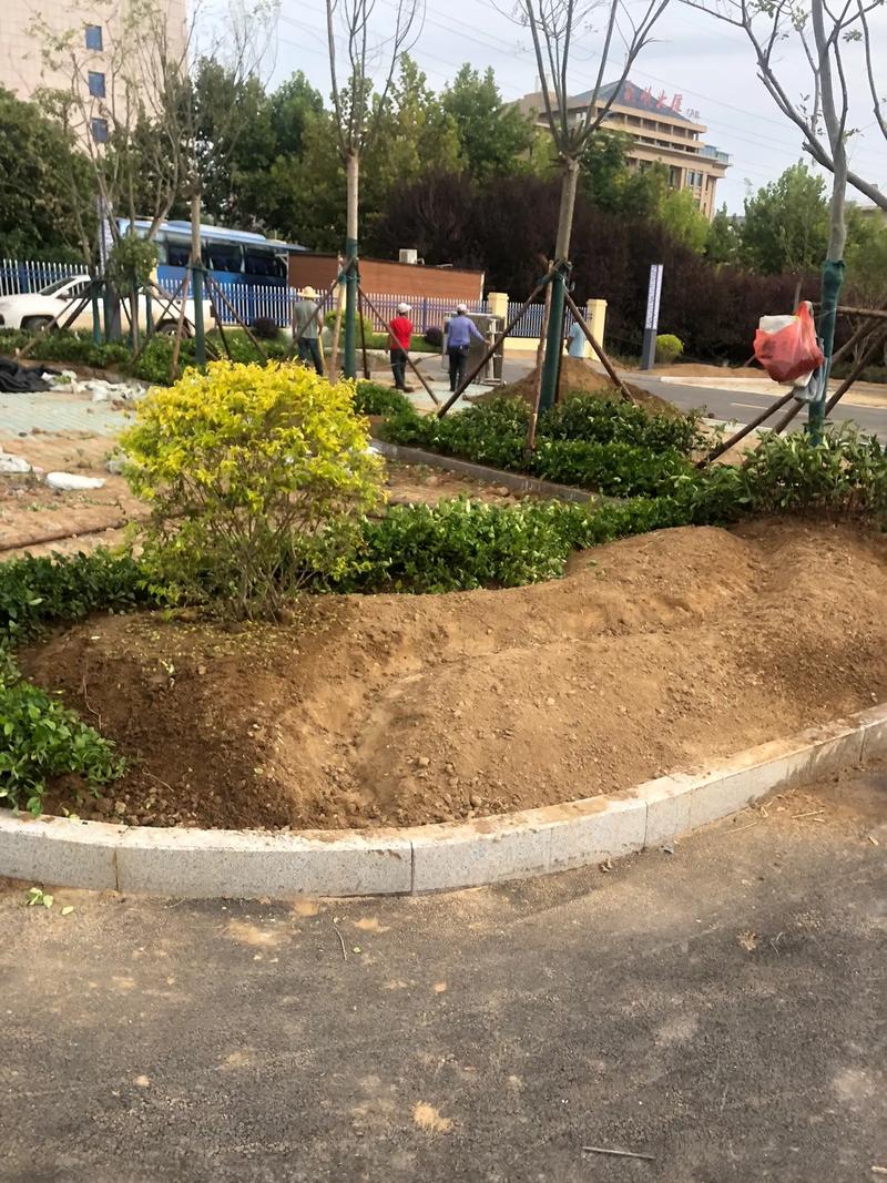 園林綠化工程 #小區(qū)綠化 #花園施工 #庭院景觀設(shè)計(jì) #景